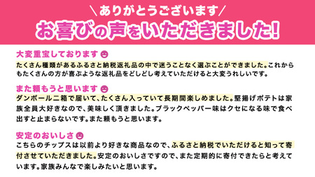 【12/21入金確認分まで年内お届け】カルビー 堅あげポテト ブラックペッパー 65g × 24袋 ( 2ケース ) 