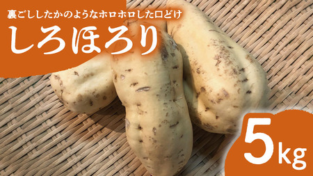 【 2022年産 】 さつまいも 「 しろほろり 」 5kg 旬 甘い 芋 いも サツマイモ スイーツ 野菜