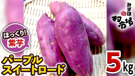【 2022年産 】 さつまいも 「 パープルスイートロード 」 5kg 紫芋 旬 甘い 芋 いも サツマイモ スイーツ 野菜