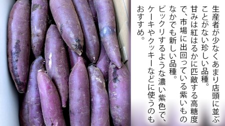 さつまいも 「 ふくむらさき 」 5kg 紫芋 旬 甘い 芋 いも サツマイモ スイーツ 野菜