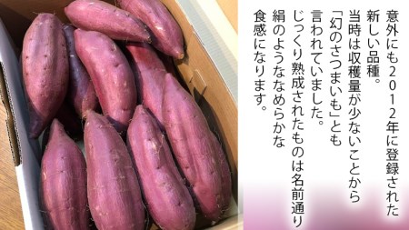 さつまいも 「 シルクスイート 」 5kg 旬 甘い 芋 いも サツマイモ