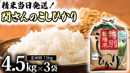 《 特別栽培米 》 令和5年産 精米日出荷 関さんの「 こしひかり 」 4.5kg× 3袋 ( 玄米時 15kg ) 新鮮 コシヒカリ 精米 米 こめ コメ 特別栽培農産物 認定米