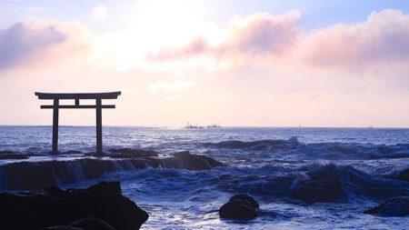 あんこう鍋 セット 5~6人前 ( 共通返礼品:茨城県大洗町 )
