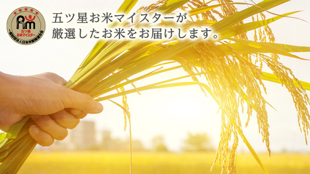 《 令和7年産 》茨城県産 無洗米 コシヒカリ 10kg ( 5kg × 2袋 ) こしひかり 米 コメ こめ 五ツ星 高品質 白米 精米 時短 期間限定