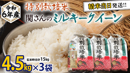 特別栽培米 》 令和6年産 精米日出荷 関さんの「 ミルキークイーン 」 4.5kg × 3袋 ( 玄米時 15kg ) 新鮮 精米 米 こめ コメ  特別栽培農産物 認定米 新米 | 茨城県牛久市 | ふるさと納税サイト「ふるなび」