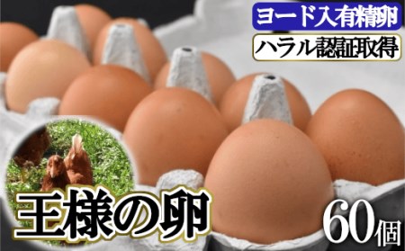 王様の卵 ヨード入 60個 平飼い 地鶏 有精卵 濃厚 卵 こだわり卵 たまご