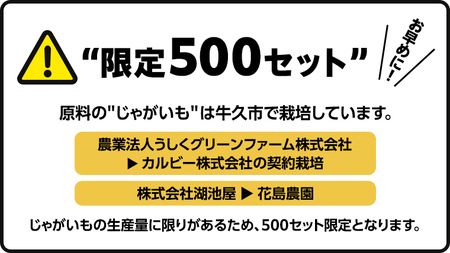 3ヶ月 連続 定期便 】 カルビー 湖池屋 人気 24種 詰め合わせ お楽しみ