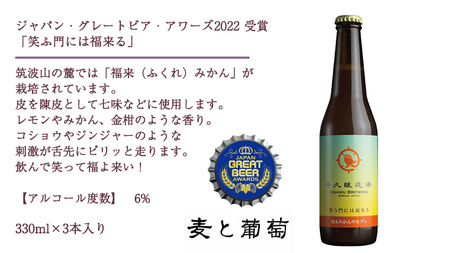 2年連続！《 ジャパン・グレートビア・アワーズ 受賞 》 クラフトビール 2種 計 6本 セット 飲み比べ 茨城県産 牛久醸造場 330ml × 6本 ビール 地ビール クラフト お酒 贈り物