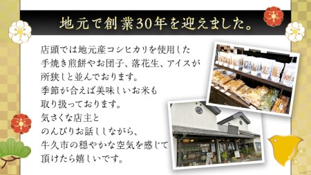 茨城県産メロンあいす 6個 アイス デザート めろん 贈り物 カップ 冷凍
