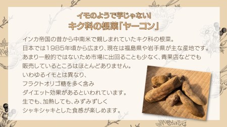 牛久市産 泥付き 「 ヤーコン 」 1.8kg 野菜 健康 健康野菜 食物繊維 根菜 芋 いも イモ