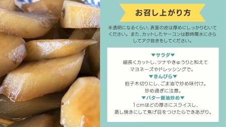 牛久市産 泥付き 「 ヤーコン 」 1.8kg 野菜 健康 健康野菜 食物繊維 根菜 芋 いも イモ