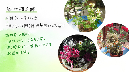 《 3ヶ月に1回お届け！年4回 定期便 》【 確実園 オリジナル 】 寄せ植え （おまかせ1点）