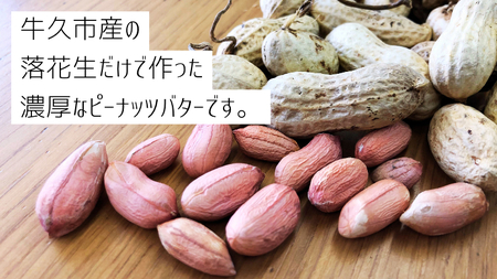 落花生 本来の味! 濃厚 ピーナッツ バター 110g × 2本セット