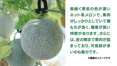 先行予約 》 茨城県産 タカミ メロン 3L 4玉 （ 約 4.5kg ） 【 2024年