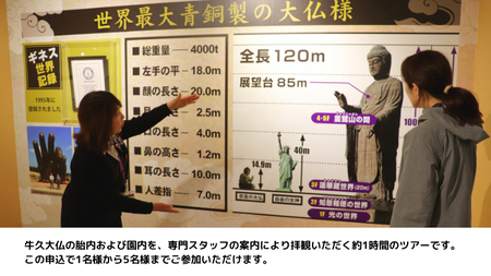 《 案内付き 》 牛久大仏 胎内 拝観 ツアー ※ 平日限定 ※ （ 5名様まで ） 貸切 体験 参加券 体験チケット 観光