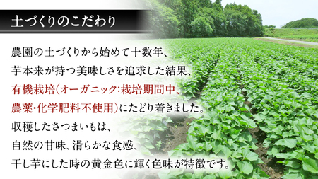 先行予約】茨城県産 紅はるか 干し芋 平干し 750g ( 250g × 3袋