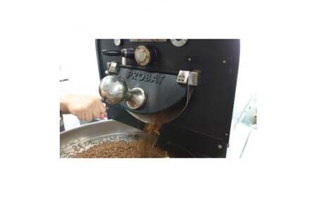 コールドブリューコーヒーバッグ飲み比べ8個セット[CB-3] │ コーヒー