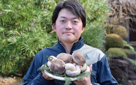 肉厚!原木しいたけちゃん　900g＜離島・沖縄配送不可＞【 しいたけ椎茸 茨城県しいたけ椎茸 つくば市しいたけ椎茸 おすすめしいたけ椎茸 】