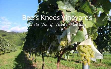 ぶどうジュース 筑波山麓産ぶどうジュース4本セット(白&黒 各2本) ビーズニーズヴィンヤー ズ