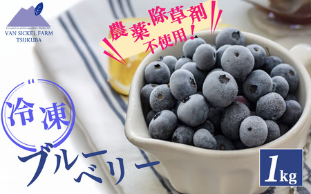 冷凍 ブルーベリー 1kg 農薬不使用