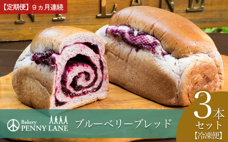 9ヵ月定期便 ブルーベリーブレッド3本 パン