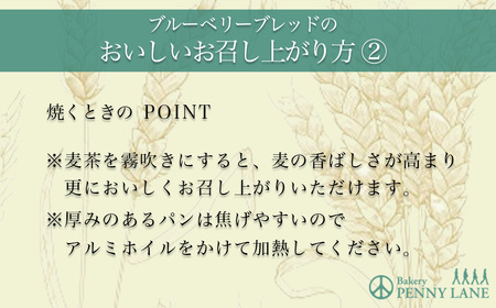 12ヵ月定期便 ブルーベリーブレッド3本 パン