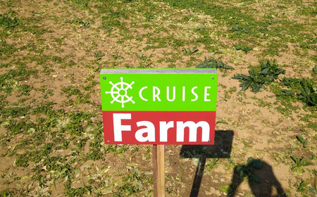 さつまいも 茨城県産 紅はるか 5kg