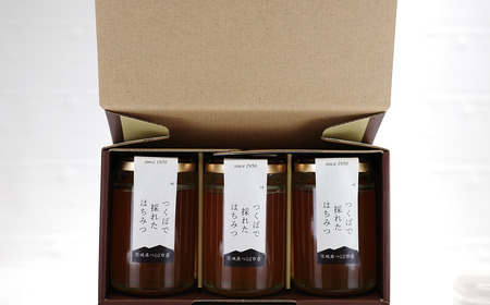 つくばで採れたはちみつ 150g×3本 │ はちみつ