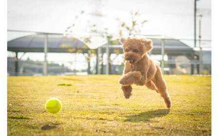 ｸﾞﾗﾝﾋﾟﾝｸﾞ LUCY RESORT 利用補助券 15,000円分