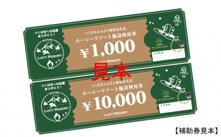 LUCY RESORT(ルーシーリゾート)利用補助券　30,000円分【 茨城県 つくば市 体験 チケット ドッグラン BBQ バーベキュー グランピング ペット 宿泊 】