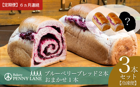 6ヵ月定期便 ブルーベリーブレッド2本＋おまかせ1本セット パン