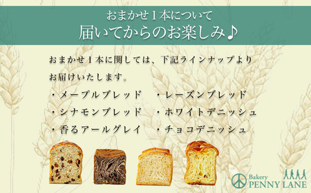 ブルーベリーブレッド2本+おまかせ 1本セット パン