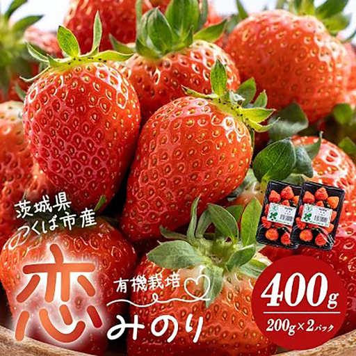 有機栽培いちご 恋みのり 400g(200g×2 パック) オーガニック いちご
