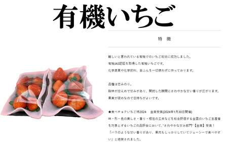 有機いちご400g・有機野菜セットB オーガニック