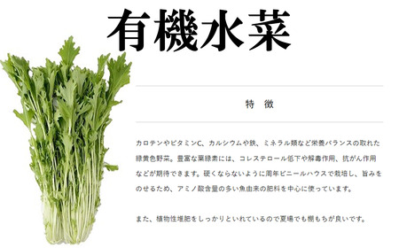 有機いちご400g・有機野菜セットB オーガニック