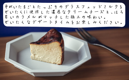 [ご自宅用簡易包装] 昼下がりの「ブラウンバスクチーズケーキ」450g×1個 │ チーズケーキ