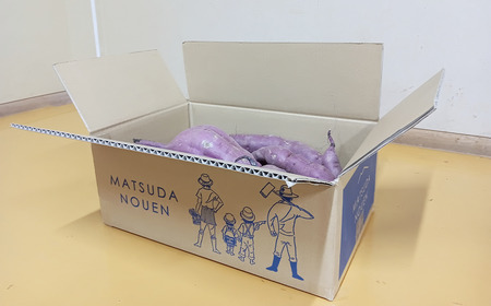 訳あり さつまいも 紅はるか 4.5kg