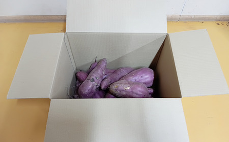 訳あり さつまいも 紅はるか 7kg