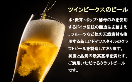 クラフトビール Twin Peaks Mountain Brewingのクラフトビールおまかせ12本セット