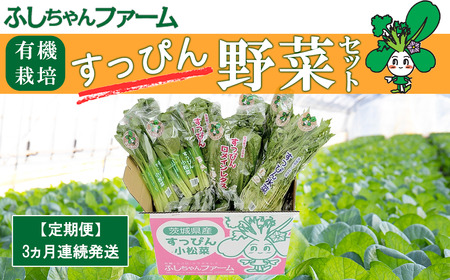 【3ヵ月定期便】すっぴん有機やさいセット(小松菜・水菜・ロメインレタス) │ オーガニック 野菜