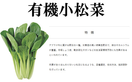 【3ヵ月定期便】すっぴん有機やさいセット(小松菜・水菜・ロメインレタス) │ オーガニック 野菜