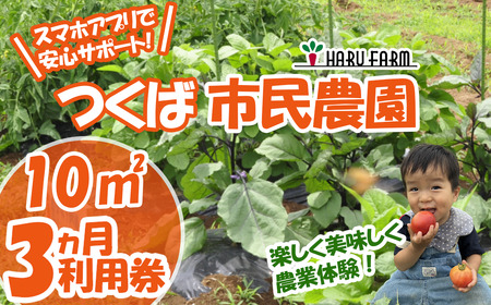 【専用スマホアプリがサポート！】ハルファームの市民農園利用券　(10㎡ 3ヵ月分)  │ 農園