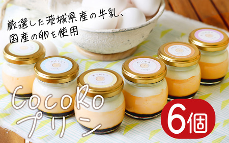 プリン CocoRoプリン6個セット（ギフト包装＋メッセージシール「だいすき」）