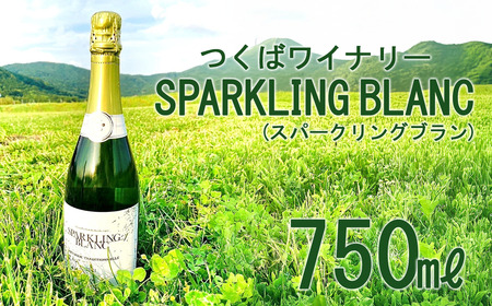 ワイン つくばワイナリー SPARKLING BLANC スパークリングブラン