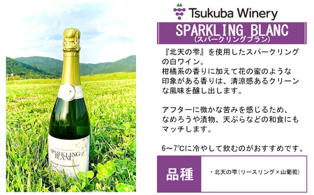 ワイン つくばワイナリー SPARKLING BLANC スパークリングブラン