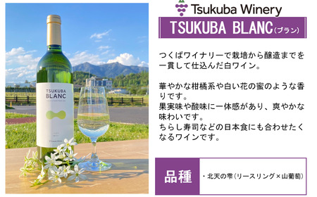 ワイン つくばワイナリー TSUKUBA BLANC & ROUGE セット