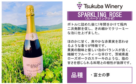 ワイン つくばワイナリー SPARKLING BLANC & ROSE セット