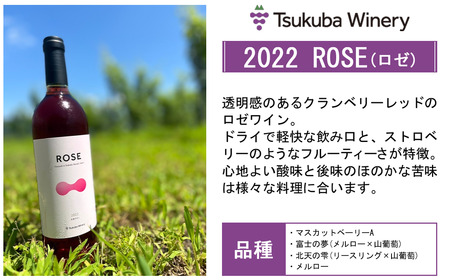 ワイン つくばワイナリー TSUKUBA BLANC ・ ROUGE & ROSE セット