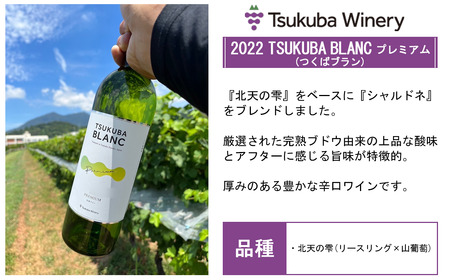 ワイン つくばワイナリー TSUKUBA BLANC & ROUGE プレミアムセット