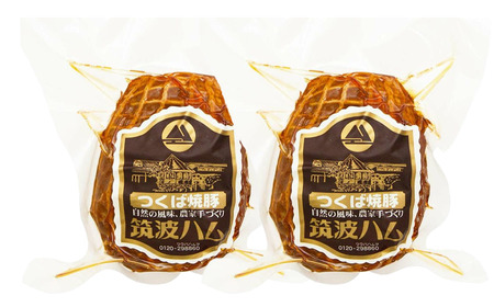 筑波ハム つくば焼豚500g(250g×2) │ 焼豚